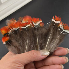 20-200pcs 5-8 cm beautiful precious wild Turkey feathers DIY jewelry Decoration 