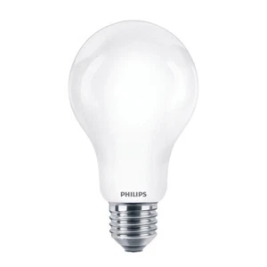 PHILIPS E27 LED Glühbirne weiss mattiert A67 17,5W (150W) warmweisse blendfrei - Bild 1 von 5