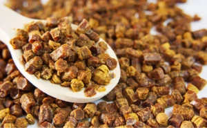 Perga Bienenbrot fermentierter Blütenpollen Naturprodukt Bio-Qualität - Bild 1 von 1