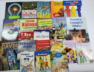 Lot of 24 Fountas & Pinnell LLI Gold System Level R Leveled Literacy Readers - Picture 1 of 12