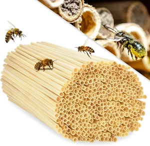 Niströhrchen Weizenstroh 300 Stück 14,5cm für Wildbienen Insektenhotel Röhrchen - Bild 1 von 7