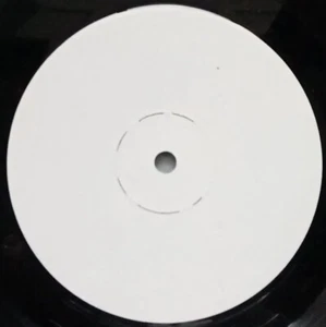 DICK HAYMES Rain Or Shine UK 1978 TEST PRESSING 1956 Jazz EASY Pop ⭐WHITE LABEL⭐ - Picture 1 of 2