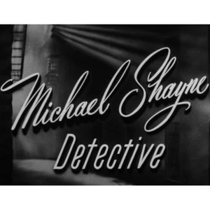 Michael Shayne 1960 Classic Detective TV Series 10 Episodes on DVD - Foto 1 di 11