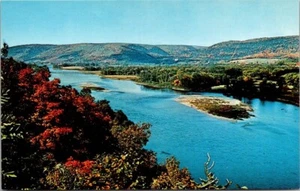 Canada New Brunswick Campbellton Restigouche River Postcard - Picture 1 of 2