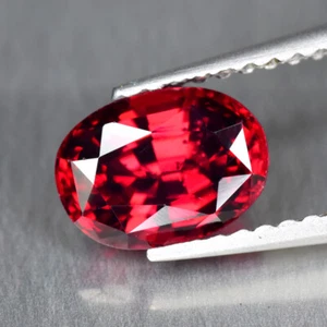 1.69Ct Resplendent Lustrous Unheated Pink Sri-Lankan Rhodolite Garnet Gemstone - Picture 1 of 1