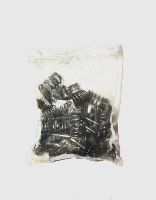 Nissan SR20DET Valves and Valve Springs - Image 1 of 1