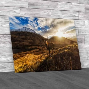 Stag On Mountain Captivating Animal Canvas Print Large Picture Wall Art - Picture 1 of 12