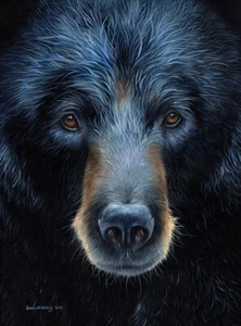 Black Bear by Sarah Stribbling Bear Wildlife Print 13x19 - Picture 1 of 1