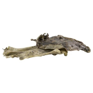 Pferdehautplatten getrocknet 1kg Knabber Snack für Hunde & Katzen NATUR & GESUND - Bild 1 von 1
