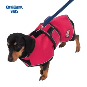 Ginger Ted Dachshund Waterproof Harness Dog Coat - warm lining, raincoat, jacket - Picture 1 of 5