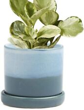 Saucer Ceramic Flower and Plant Container with Drainage Hole