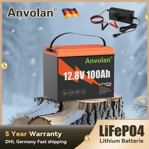 Batería de litio LiFePO4 12V 100Ah 100A BMS protección de baja temperatura 1280Wh batería de coche - Imagen 1 de 20