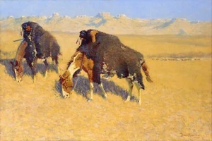 Frederic Remington Indios Simulación Búfalo Calidad Satinado Impresión 16 x 20 - Imagen 1 de 1