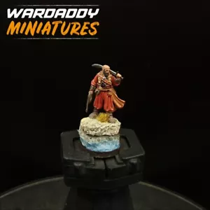Pro Painted Warhammer Lotr Corsair Captain Delgamar Mesbg Games Workshop - Picture 1 of 4