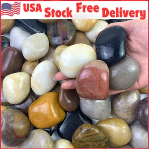 Polished Pebbles River Rocks, 2-3" for Plant Decorative Stones Vase Aquarium 5Lb - Picture 1 of 12