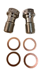 Real Titanium Banjo Bolt Pair Silver  M10x1.25 Brembo Brakes 13grams Harley - Foto 1 di 4