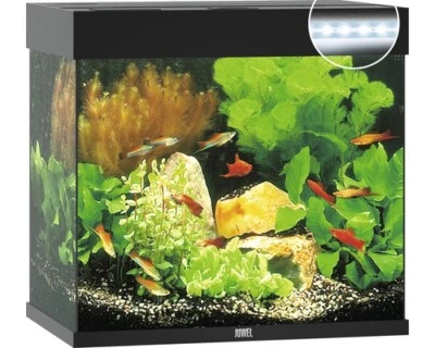 Aquarium JUWEL Lido 120 mit LED-Beleuchtung, Pumpe, Filter, Heizer ohne Untersch