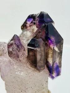 Super Seven Crystal Perfectly Formed Scepter Quartz Raw Stone Amethyst Quartz - Foto 1 di 15