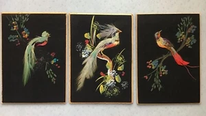 VINTAGE BIRD FEATHER ART SET OF 3 - Picture 1 of 6