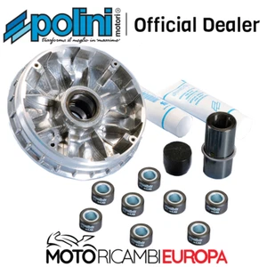 VARIATORE POLINI MAXI HI-SPEED MBK SKYCRUISER, YAMAHA X-CITY, X-MAX 250 M.R.E. - Foto 1 di 4