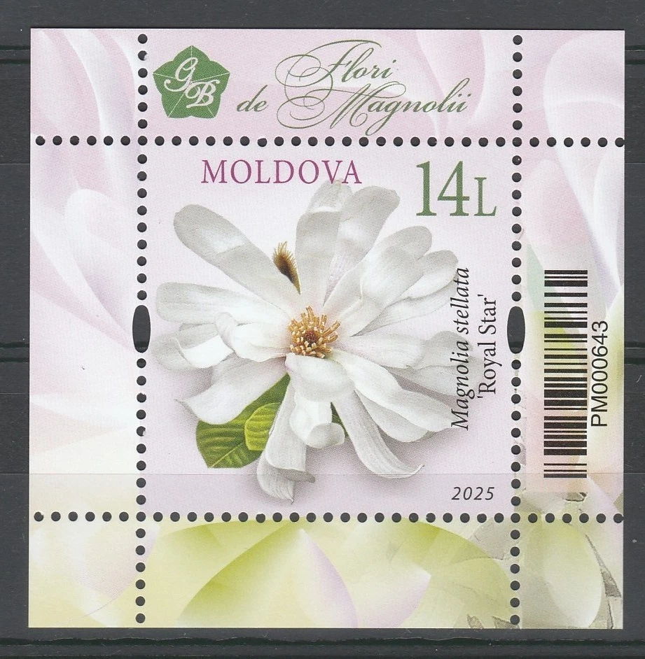 Moldova 2025 Flowers, Magnolia MNH Block - Image 1 of 1