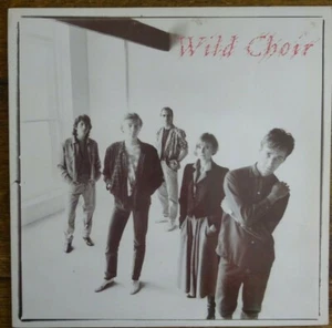 WILD CHOIR - 1986 VINYL LP. AEL1-5810. ( USA ) - Bild 1 von 6