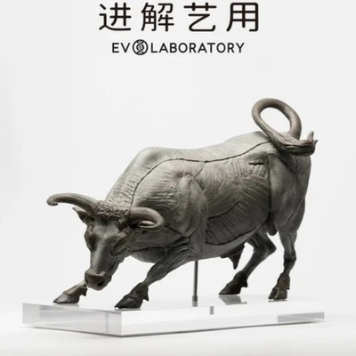 1/12 Scale EVOLABORATORY Bull Limited Sofubi PVC Anatomy Figure Model H25CM/10in - Image 1 of 4