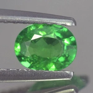 IMPRESIONANTE VVS OVALADO SIN CALEFACCIÓN VERDE TSAVORITA GRANATE NATURAL 0,47 QUILATES - Imagen 1 de 3