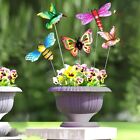 High Quality Such As Living Room Butterflies Stakes Stake Decor 38cm/15in