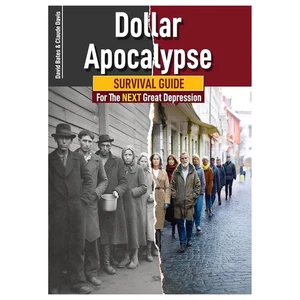 Dollar Apocalypse: Survival Guide For The Next Great Depression--(Paperback) - Imagen 1 de 7