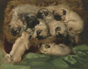 Impresión en lienzo Henriette Ronner Knip A Litter Of Pugs 16 x 20 - Imagen 1 de 5