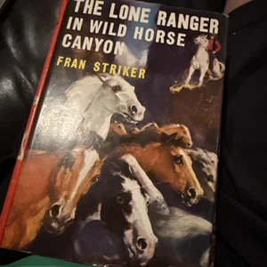 The Lone Ranger In Wild Horse Canyon 1950 Hardcover W/ Dust Jacket Vintage - Picture 1 of 5
