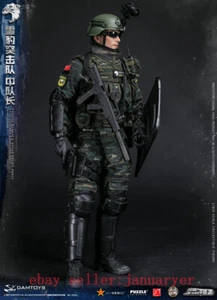 Perfect Damtoys 1/6 78053 Snow Leopard Commando Unit Team Leader Action Figure - Picture 1 of 12