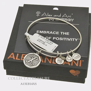 Authentischer Alex und Ani Initiale X Rafaelian Silber Charm Armreif - Bild 1 von 1