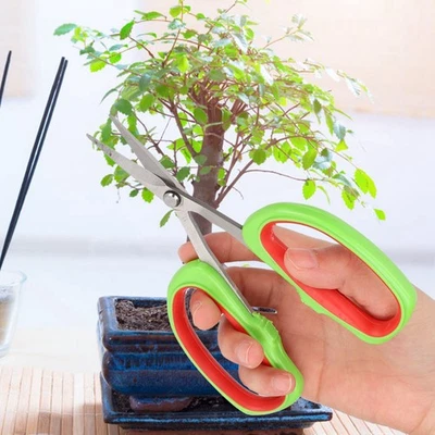 `Stainless Steel Grape Pruning Shears Bonsai Fruit Tree Branch Trimming Scissors - Image 1 of 4