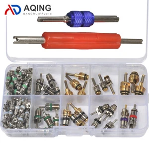 102pcs Car R12 & R134a A/C Air Conditioner Schrader Valve Core Remover Tool Kit - Bild 1 von 7