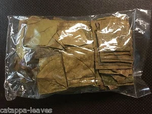 NANO PADS - Hojas de almendro de mar en pequeñas porciones Catappa Leaves Nano Cube  - Imagen 1 de 2