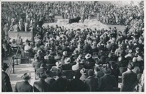 ARGENTINE c. 1952 - Concours Agricole Vaches, Chevaux, Boeufs  - P714 - Picture 1 of 2