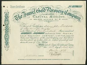 Fauvel Gold Recovery Co. Ltd., acciones de £1, 1895 - Imagen 1 de 1