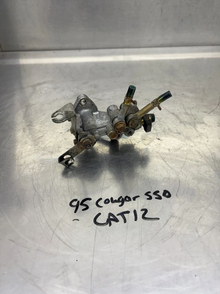 Conjunto de bomba de inyección de aceite Arctic Cat Cougar Panther 550 1995 1996 1997 OEM Foto 1 de 3