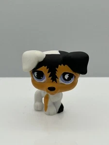 LPS Dog Puppy Littlest Pet Shop Hasbro 803 Figure - Picture 1 of 7