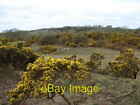 Photo 6X4 Rattra Farm Cottages Kirkandrews View Across Gorse Covered Hill C2008