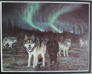 Matted Print 2001 Robert Bishop Out of the Darkness Wolves Northern Lights 5 x 6 - Bild 1 von 4
