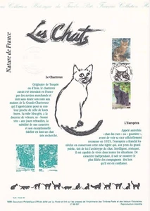 Philatelistisches Dokument 1. Tag 07- 1999 Natur Die Katzen - Bild 1 von 1