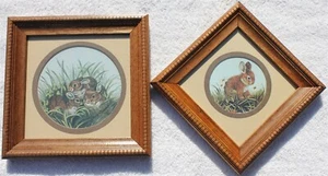 NOS Vintage Baby Cottontail Rabbit Bunny Pair Framed Prints HOMCO #1306 AO - Picture 1 of 4
