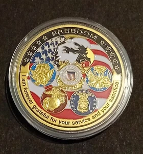 Old Enamel USA United States of America Medallion - Freedom Grateful Thank You - Picture 1 of 2