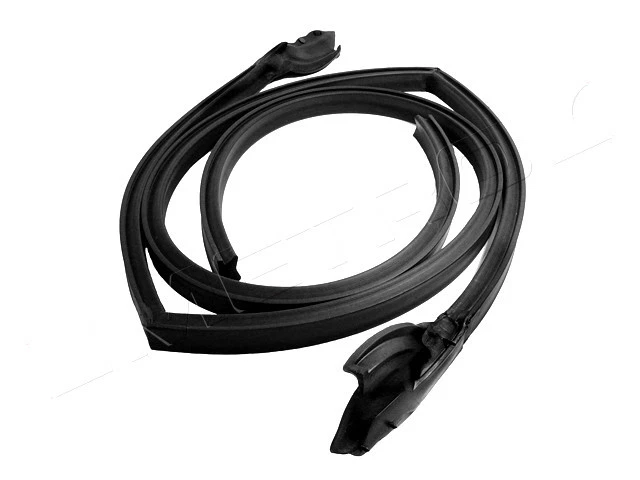 Cadillac DeVille 1971-1973 2 puertas techo rígido nuevo riel de techo sellos de resistencia a la intemperie, par Foto 1 de 1