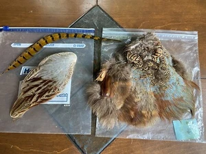 Vintage RING-NECK PHEASANT Natural Feathers Wing Body FLY TYING Lot - Picture 1 of 12