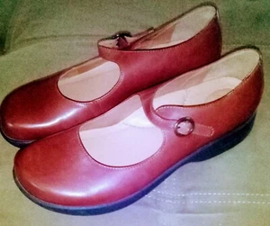 Dansko Brown Leather Mary Jane Buckle Shoes 10.5 - Picture 1 of 1