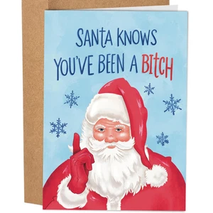 sleazy greetings Santa Knows You've Been A Bitch Christmas Card - Picture 1 of 2
